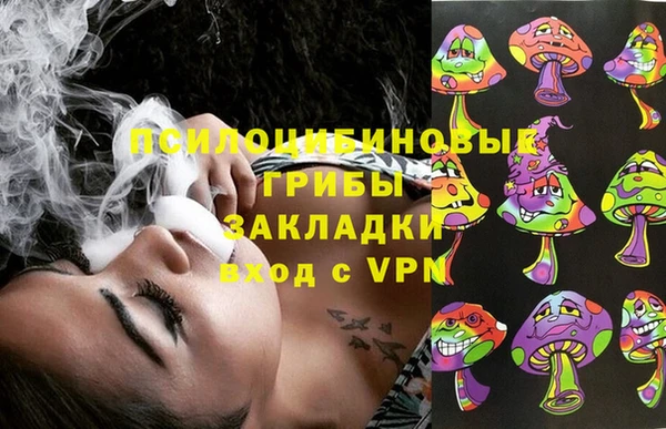 мдпв Няндома