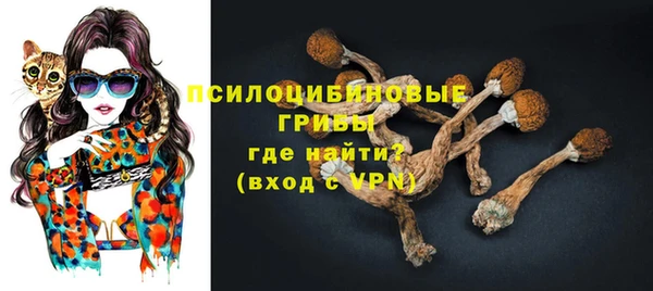 ECSTASY Абаза